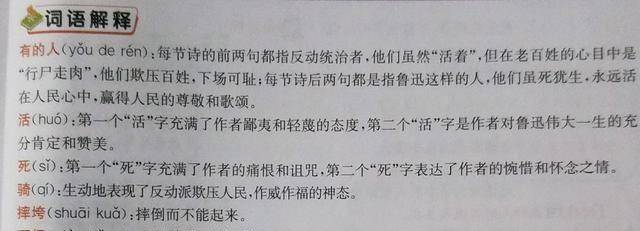 澳门一码一肖一待一中直播的词语释义与解释落实