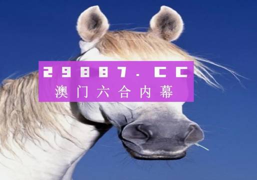 探索数字背后的奥秘——解析494949与澳门彩民的期待