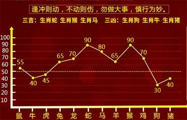 一肖一码的精选解析与解释落实