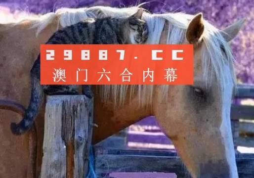 澳门4949最新开奖记录查询解析与解读